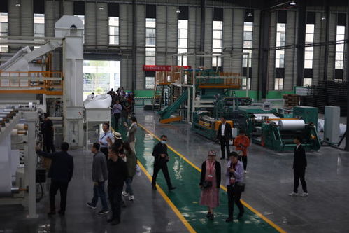 海外華文媒體走進潼南，點贊農業與工業高質量發展及技術創新