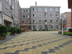 透水磚供應(yīng)與技術(shù)開發(fā) 構(gòu)建生態(tài)友好型城市鋪裝解決方案