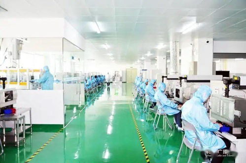 南寧 創(chuàng)新激發(fā)經(jīng)濟(jì)活力，眾多“科技種子”開花結(jié)果