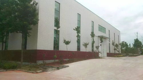 金山新動(dòng)力 技術(shù)改造引領(lǐng)企業(yè)發(fā)展新動(dòng)能